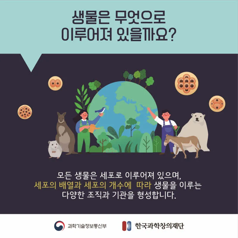 [분야] 생물<br>[주제] 생물의 유기적 구성 단계<br>[콘텐츠명] 생물의 다양한 유기적 구성단계(도입) <br>[유형] 카드뉴스<br>[난이도] 중등 이상