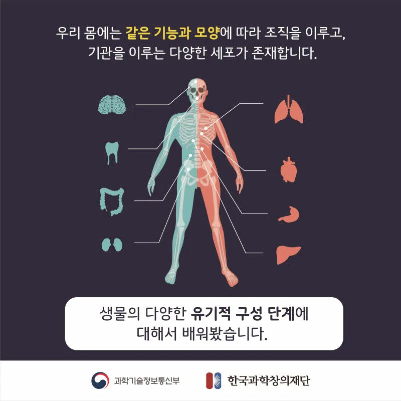 [분야] 생물<br>[주제] 생물의 유기적 구성 단계<br>[콘텐츠명] 생물의 다양한 유기적 구성단계(도입) <br>[유형] 카드뉴스<br>[난이도] 중등 이상