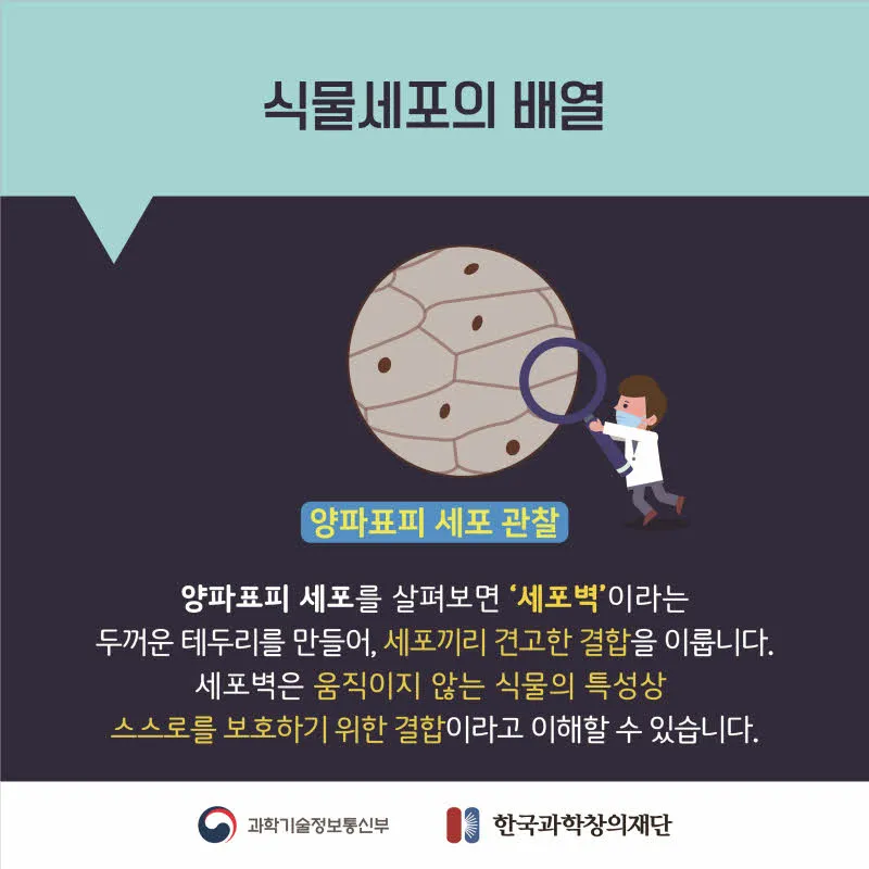 [분야] 생물<br>[주제] 생물의 유기적 구성 단계<br>[콘텐츠명] 생물의 다양한 유기적 구성단계(도입) <br>[유형] 카드뉴스<br>[난이도] 중등 이상