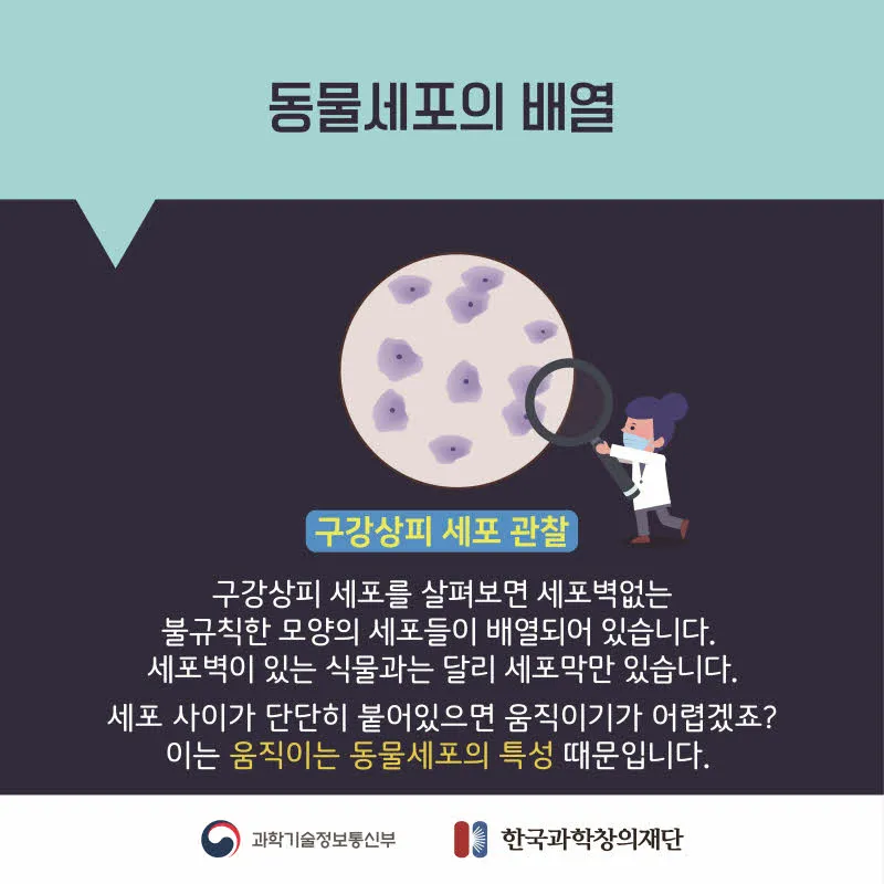 [분야] 생물<br>[주제] 생물의 유기적 구성 단계<br>[콘텐츠명] 생물의 다양한 유기적 구성단계(도입) <br>[유형] 카드뉴스<br>[난이도] 중등 이상