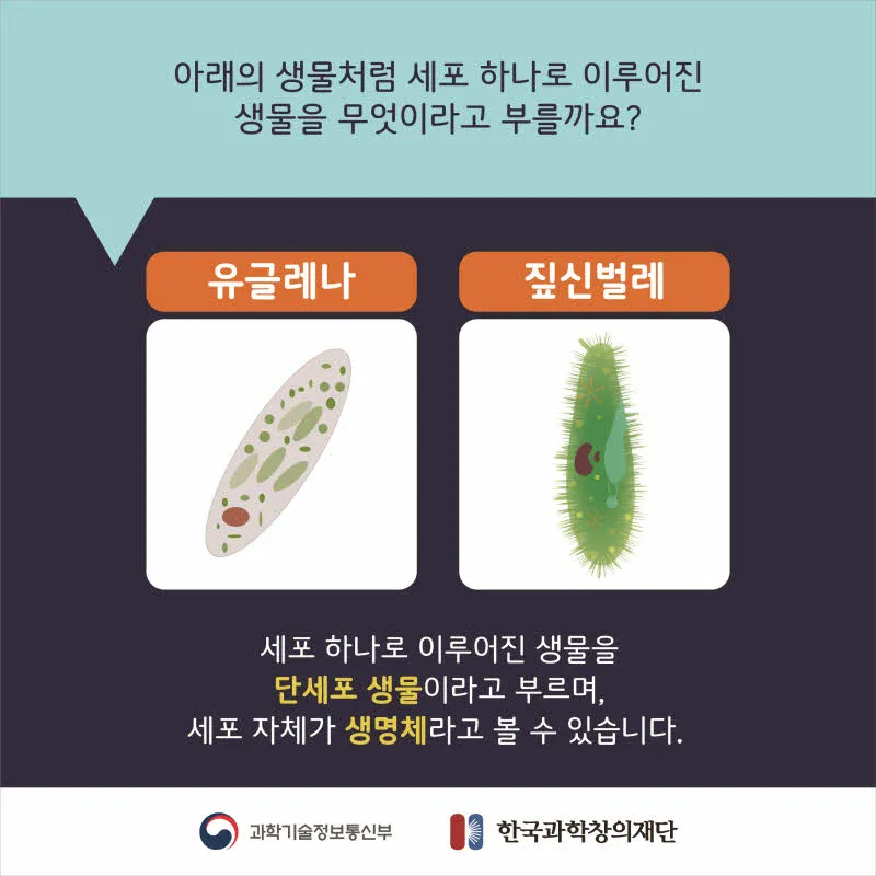 [분야] 생물<br>[주제] 생물의 유기적 구성 단계<br>[콘텐츠명] 생물의 다양한 유기적 구성단계(도입) <br>[유형] 카드뉴스<br>[난이도] 중등 이상