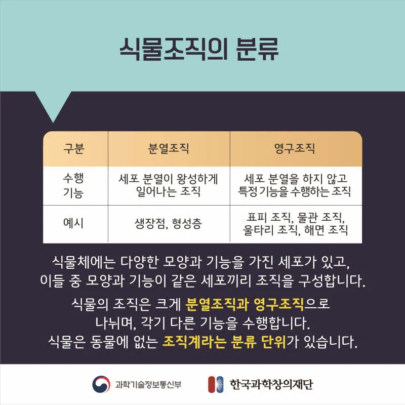 [분야] 생물<br>[주제] 생물의 유기적 구성 단계<br>[콘텐츠명] 생물의 다양한 유기적 구성단계(도입) <br>[유형] 카드뉴스<br>[난이도] 중등 이상