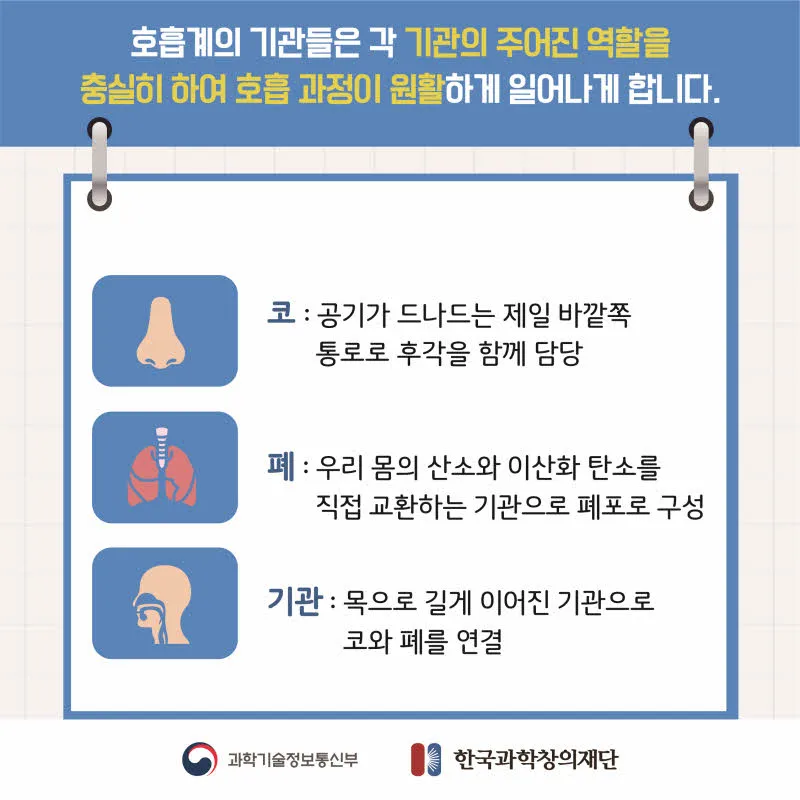 [분야] 생물<br>[주제] 호흡 기관의 구조와 기능 이해<br>[콘텐츠명] 호흡계와 호흡의 의미(도입)<br>[유형] 카드뉴스<br>[난이도] 중등 이상