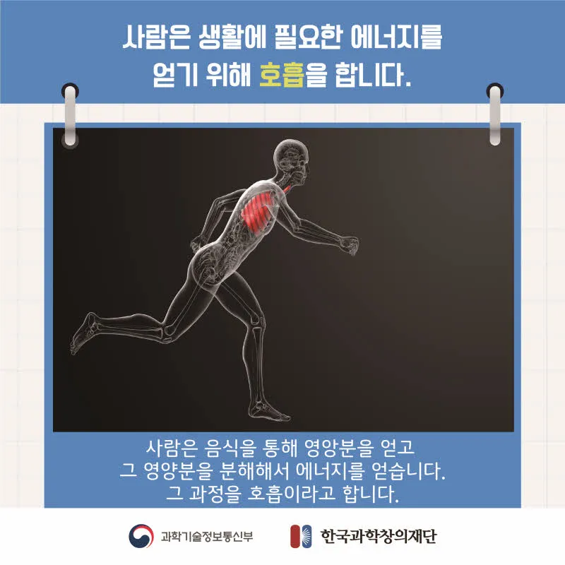 [분야] 생물<br>[주제] 호흡 기관의 구조와 기능 이해<br>[콘텐츠명] 호흡계와 호흡의 의미(도입)<br>[유형] 카드뉴스<br>[난이도] 중등 이상