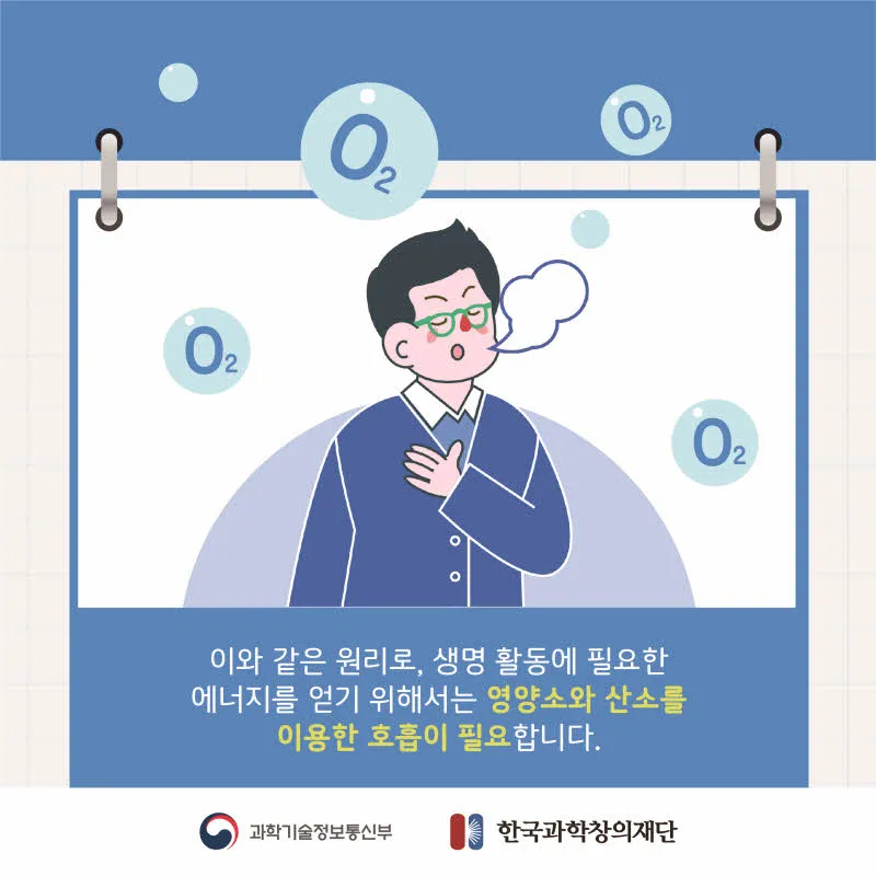 [분야] 생물<br>[주제] 호흡 기관의 구조와 기능 이해<br>[콘텐츠명] 호흡계와 호흡의 의미(도입)<br>[유형] 카드뉴스<br>[난이도] 중등 이상