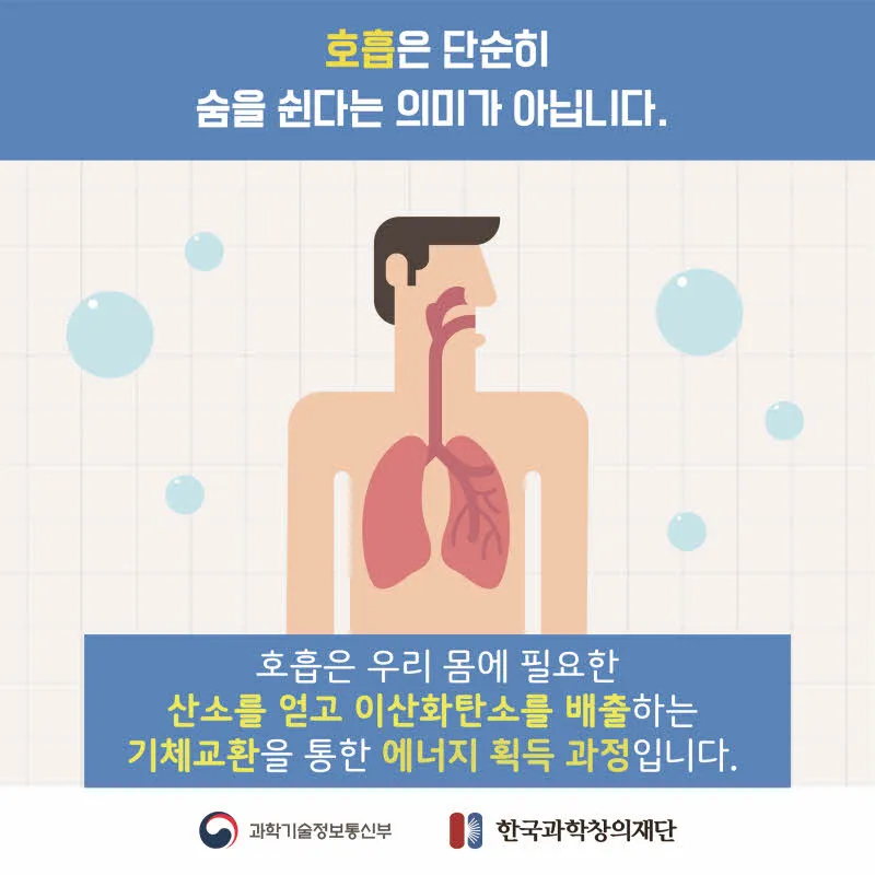 [분야] 생물<br>[주제] 호흡 기관의 구조와 기능 이해<br>[콘텐츠명] 호흡계와 호흡의 의미(도입)<br>[유형] 카드뉴스<br>[난이도] 중등 이상