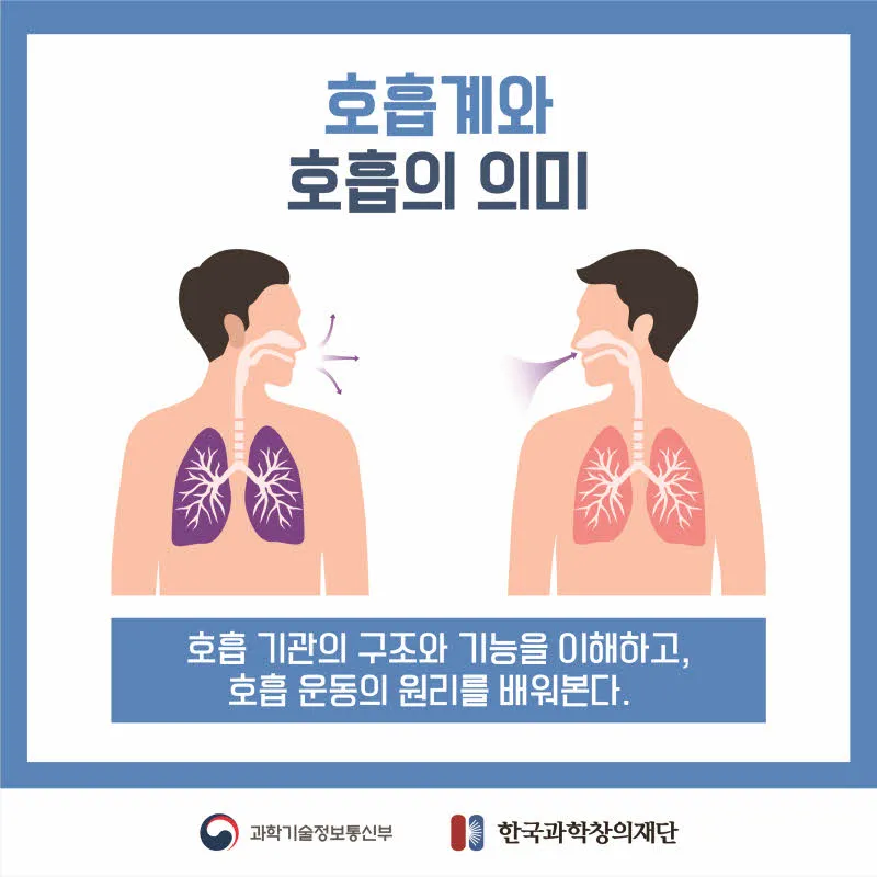 [분야] 생물<br>[주제] 호흡 기관의 구조와 기능 이해<br>[콘텐츠명] 호흡계와 호흡의 의미(도입)<br>[유형] 카드뉴스<br>[난이도] 중등 이상