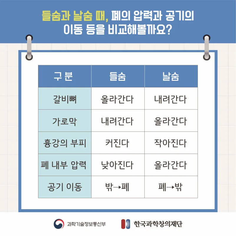 [분야] 생물<br>[주제] 호흡 기관의 구조와 기능 이해<br>[콘텐츠명] 호흡 운동의 원리 이해하기(정리)<br>[유형] 카드뉴스<br>[난이도] 중등 이상