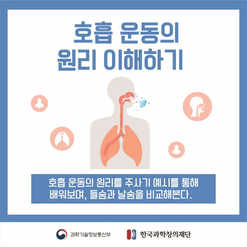 [분야] 생물<br>[주제] 호흡 기관의 구조와 기능 이해<br>[콘텐츠명] 호흡 운동의 원리 이해하기(정리)<br>[유형] 카드뉴스<br>[난이도] 중등 이상