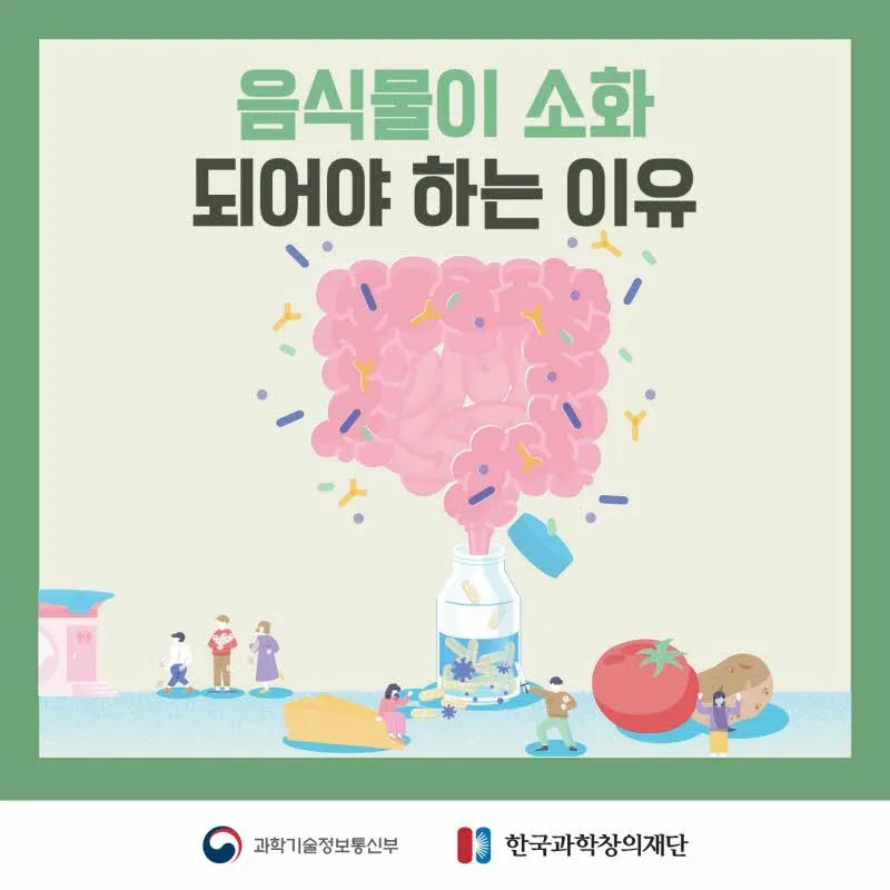 [분야] 생물<br>[주제] 소화 효소의 작용<br>[콘텐츠명] 음식물이 소화되어야 하는 이유(도입)<br>[유형] 카드뉴스<br>[난이도] 중등 이상