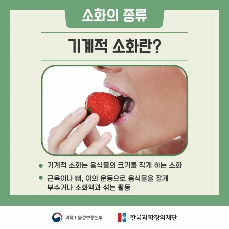 [분야] 생물<br>[주제] 소화 효소의 작용<br>[콘텐츠명] 음식물이 소화되어야 하는 이유(도입)<br>[유형] 카드뉴스<br>[난이도] 중등 이상