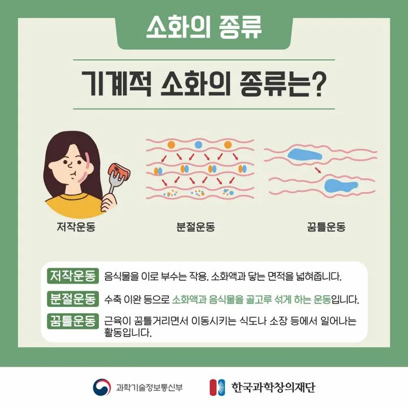 [분야] 생물<br>[주제] 소화 효소의 작용<br>[콘텐츠명] 음식물이 소화되어야 하는 이유(도입)<br>[유형] 카드뉴스<br>[난이도] 중등 이상