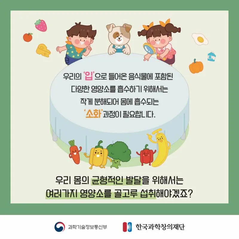 [분야] 생물<br>[주제] 소화 효소의 작용<br>[콘텐츠명] 음식물이 소화되어야 하는 이유(도입)<br>[유형] 카드뉴스<br>[난이도] 중등 이상