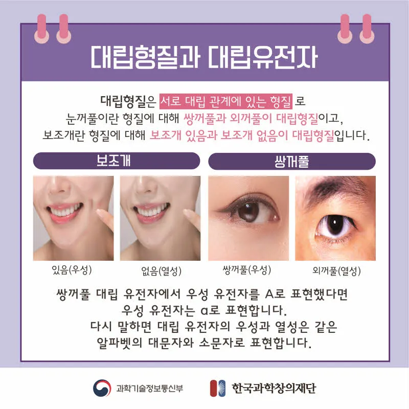 [분야] 생물<br>[주제] 유전 형질과 유전 연구 방법<br>[콘텐츠명] 사람의 다양한 유전 형질(도입)<br>[유형] 카드뉴스<br>[난이도] 중등 이상
