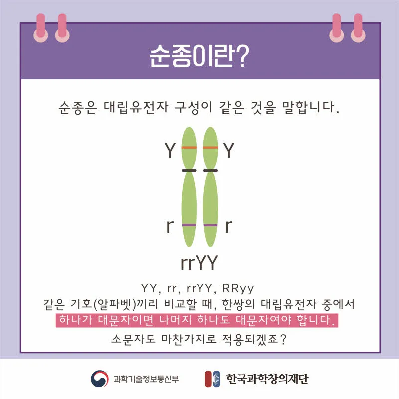 [분야] 생물<br>[주제] 유전 형질과 유전 연구 방법<br>[콘텐츠명] 사람의 다양한 유전 형질(도입)<br>[유형] 카드뉴스<br>[난이도] 중등 이상