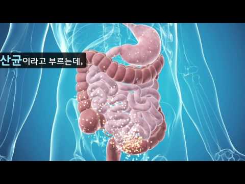 초등 6학년 2학기 4. [1.생물과 우리생활] 과학이야기