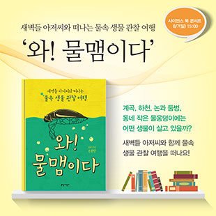 와물맴이다