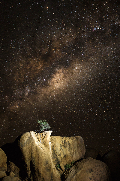 GettyimagesBank_471296068_XL_수정