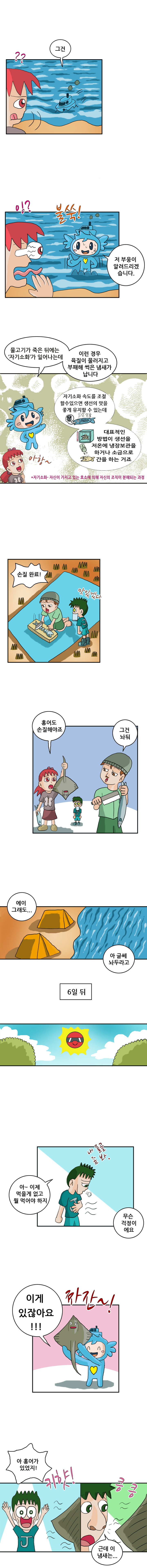 홍어과학-02