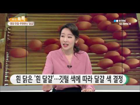 [사이언스 TV] 영양 만점·무한 변신 ‘달걀’…신선한 섭취법은?
