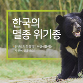 한국의 멸종 위기종