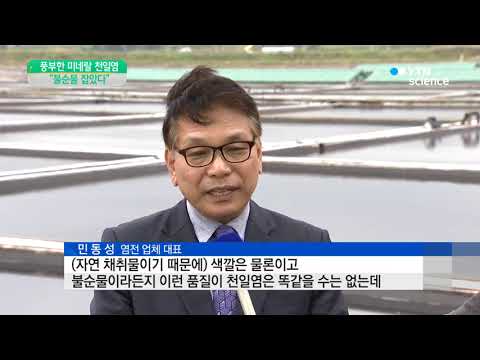 [사이언스 TV] 불순물 잡았다 갯벌 천일염 업계 ‘기대’