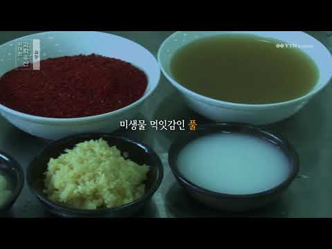 [사이언스 TV] 위대한 과학유산 – 김장