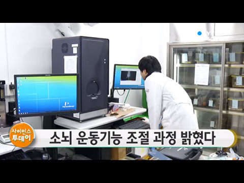 [사이언스TV] 소뇌의 운동기능 조절 과정 밝혔다