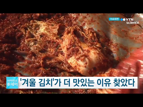 [사이언스TV] 겨울철 김치가 더 맛있는 이유 찾았다