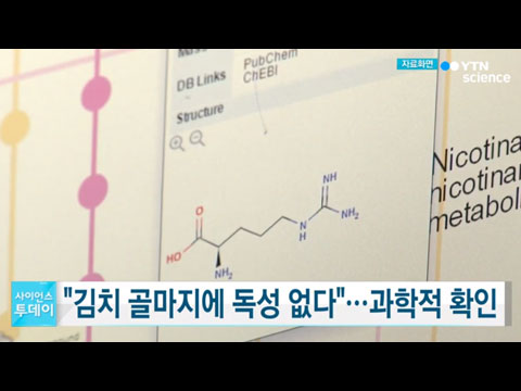 [사이언스TV] 김치 골마지에 독성 없다 과학적으로 확인