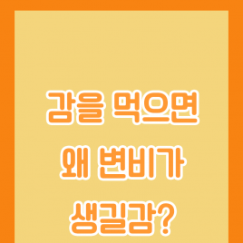 감을 먹으면 왜 변비가 생길감?