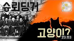 과학쿠키5
