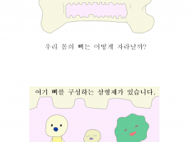 궁금한 우리몸 (1) 뼈