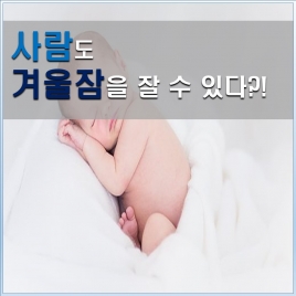 사람도 겨울잠을 잘 수 있다?
