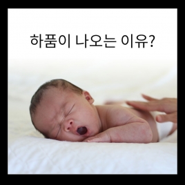 하품이 나는 이유는 뭘까?