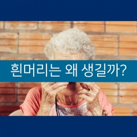 흰머리가 나는 이유는?