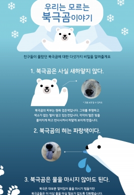 우리는 모르는 북극곰 이야기