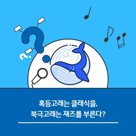 혹등고래는 클래식을,  북극고래는 재즈를 부른다?