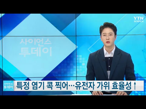 [사이언스TV] 특정 염기 콕 찍어, 유전자 가위 효율성↑
