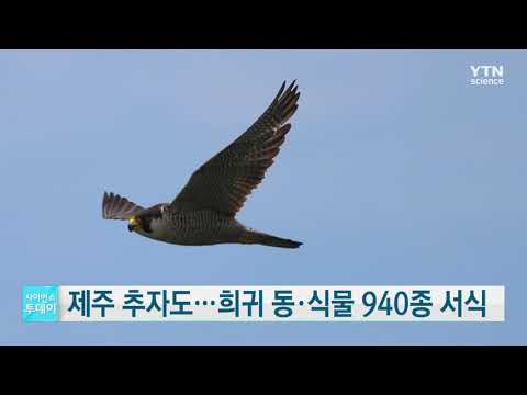 [사이언스TV] 제주 추자도, 희귀 동·식물 940종 서식