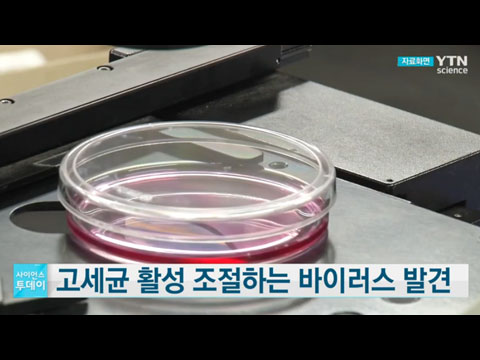 [사이언스TV] 고세균 활성 조절하는 바이러스 발견, 기후 변화에 도움