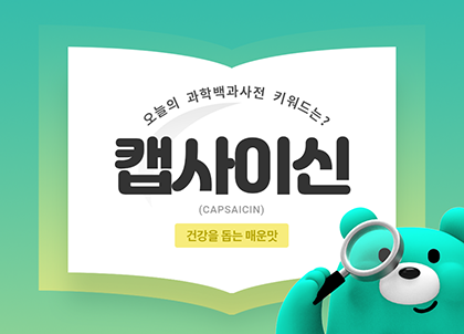 [카드뉴스] 캡사이신