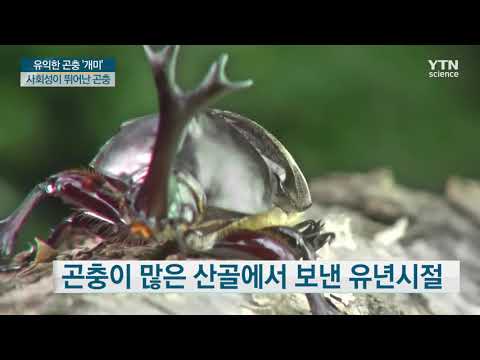 세계에서 인정받은 개미 박사 김병진 교수