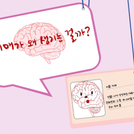 치매는 왜 생긴 걸까?