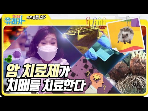 암 치료제에서 발견한 🧪🧬 알츠하이머병의 치료 가능성 [#핫클립유레카]