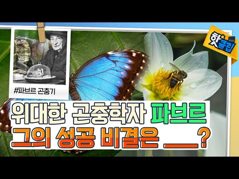 호기심이 끊이지 않았던 파브르