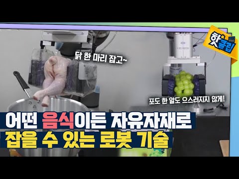 삼계탕을 끓이는 로봇이 있다? [#핫클립]