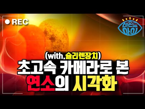 과학적 불멍 보여드립니다 👀🔥 [#비욘드아이컷]