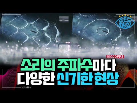 소리를 보다, 주파수의 비밀 👂 [#비욘드아이컷]