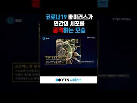 전자현미경 확대사진! 여러분도 맞춰보세요~!! #shorts